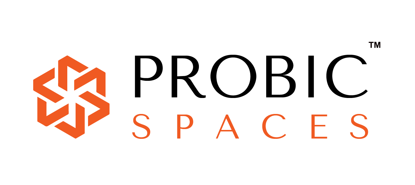 Probic Spaces