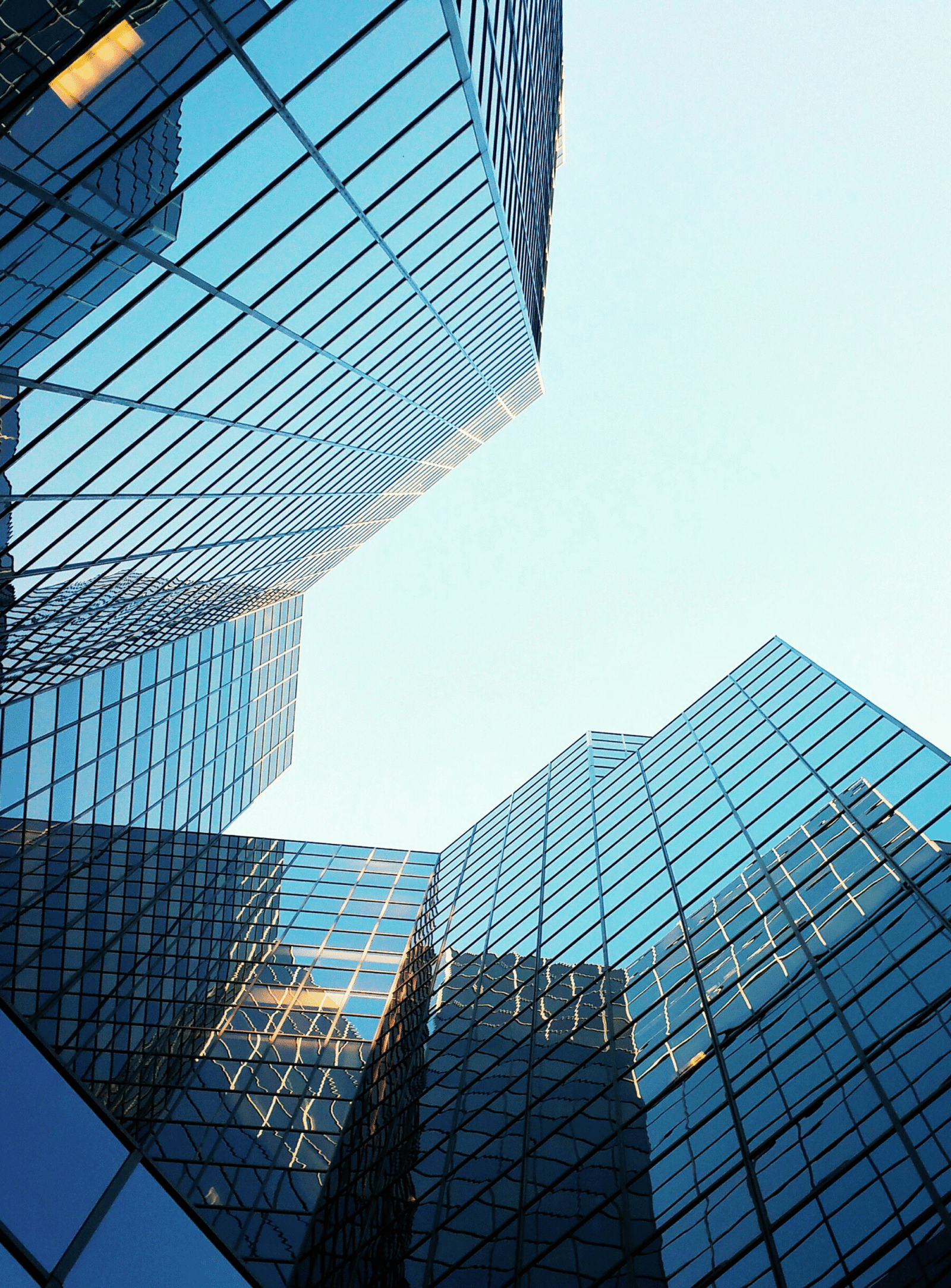 Untitled design (45)